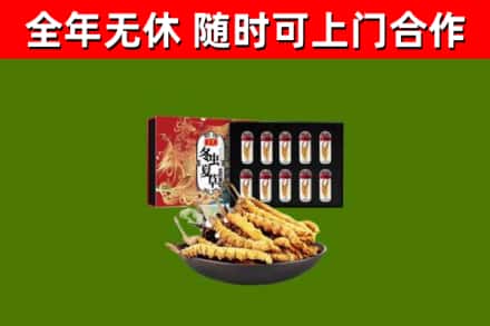 南宁回收冬虫夏草价格